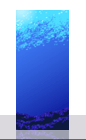 a4x1.gif