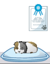 e29b.gif