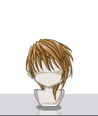 p11z7.gif