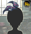 312h.gif