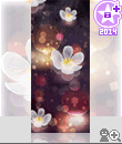a49e5.gif