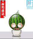 p121z1.gif