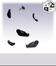 aa12n.gif