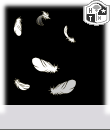 aa1fb.gif
