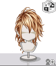 p113bv.gif