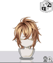 p113pc.gif