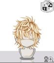 p113sf.gif