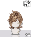 p113sg.gif