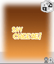 aa1z3.gif
