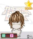 p113gl.gif