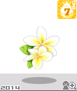 ae2jt.gif