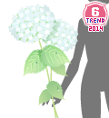 g13d.gif