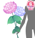 g13e.gif