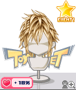 p113qg.gif