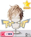 p113va.gif